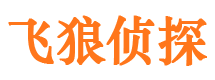 三门峡找人公司